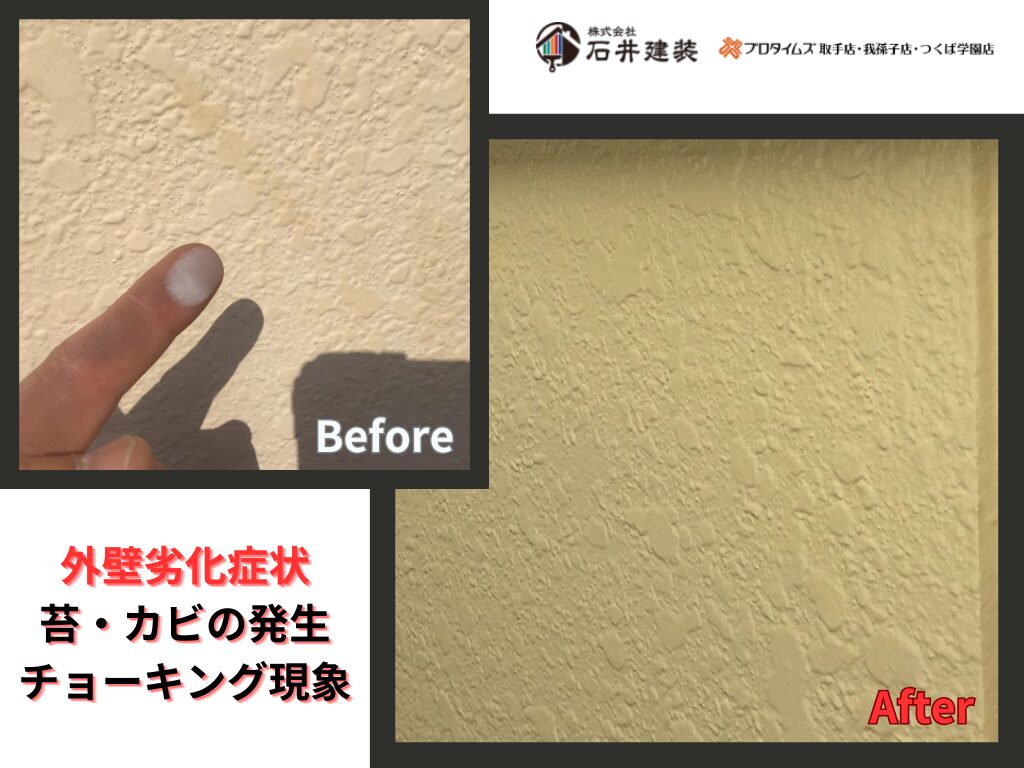 守谷市アパートビフォーアフター画像：外壁