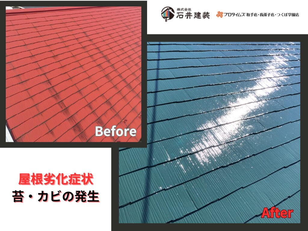 守谷市アパートビフォーアフター画像：屋根