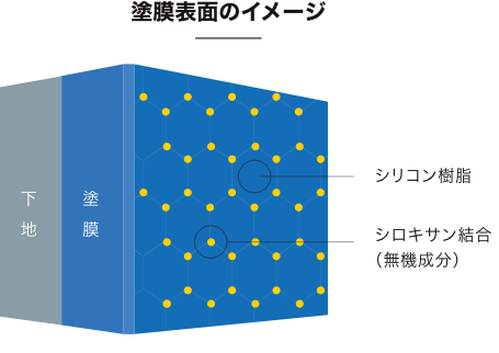 塗膜表面のイメージ
