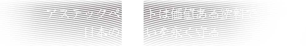 アステックペイントは価値ある塗料で日本の住まいを永く守る