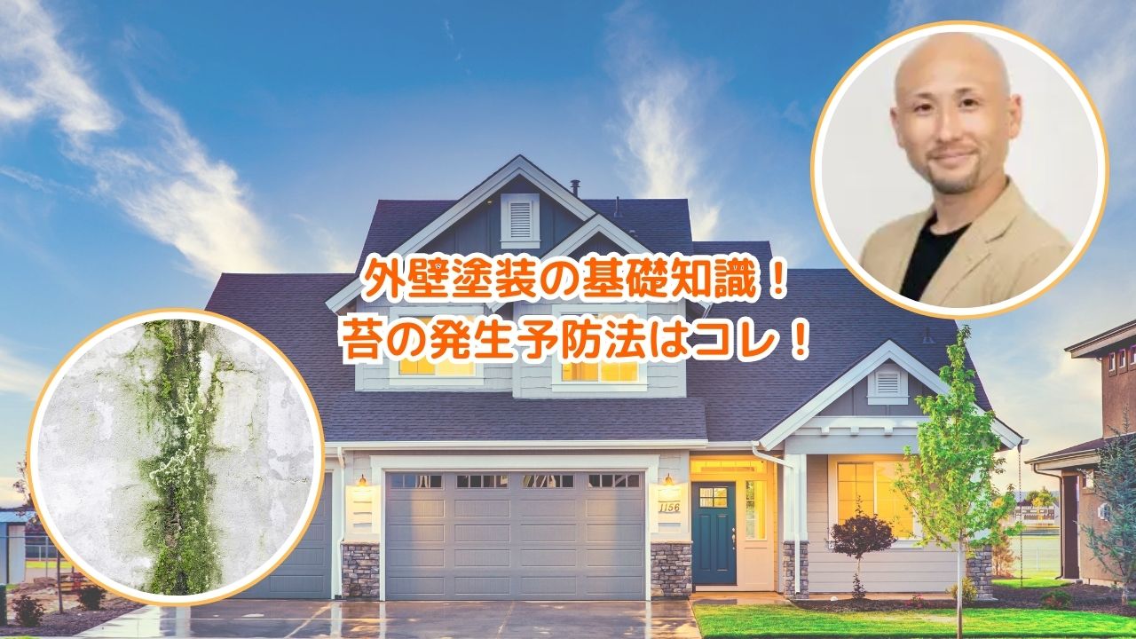 外壁塗装の基礎知識｜コケの発生予防法が知りたい
