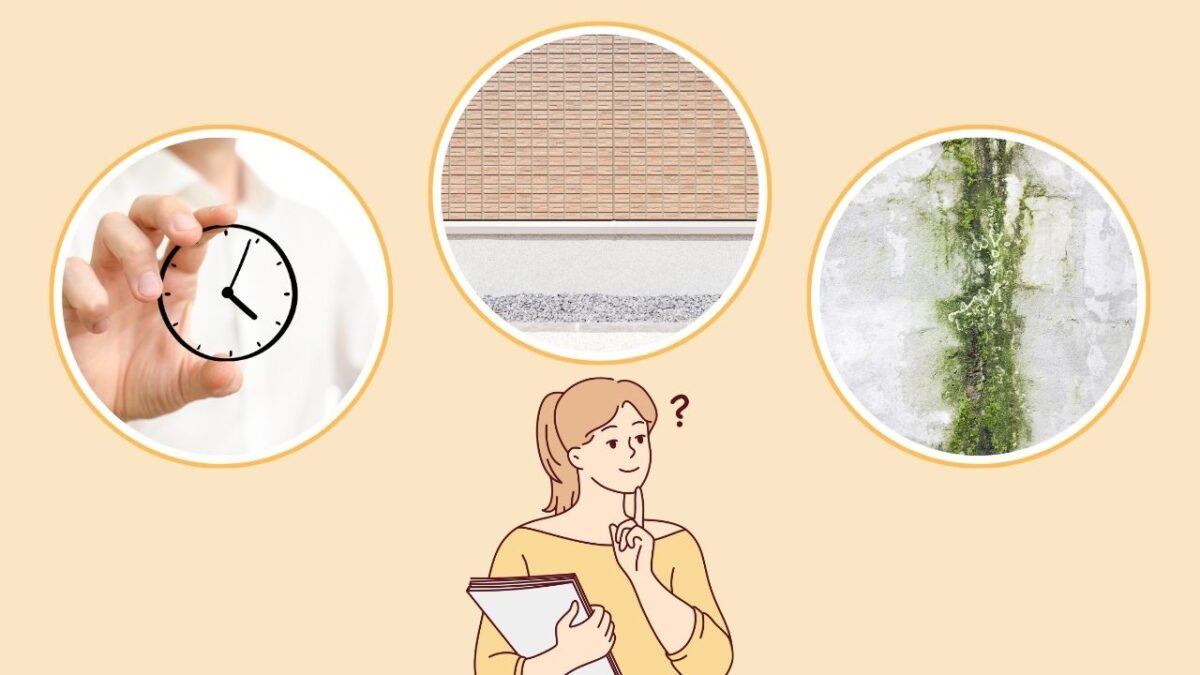なぜコケが発生するのか