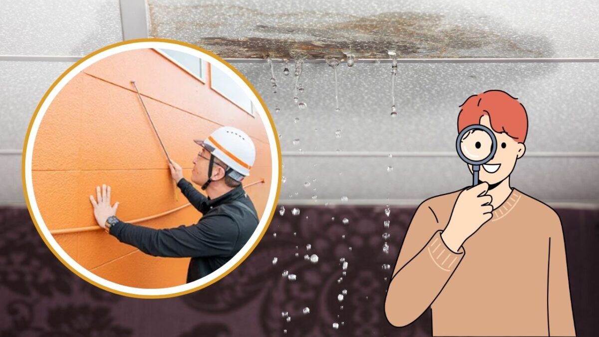 つくば市で受けられる雨漏り無料診断サービスをフル活用しよう