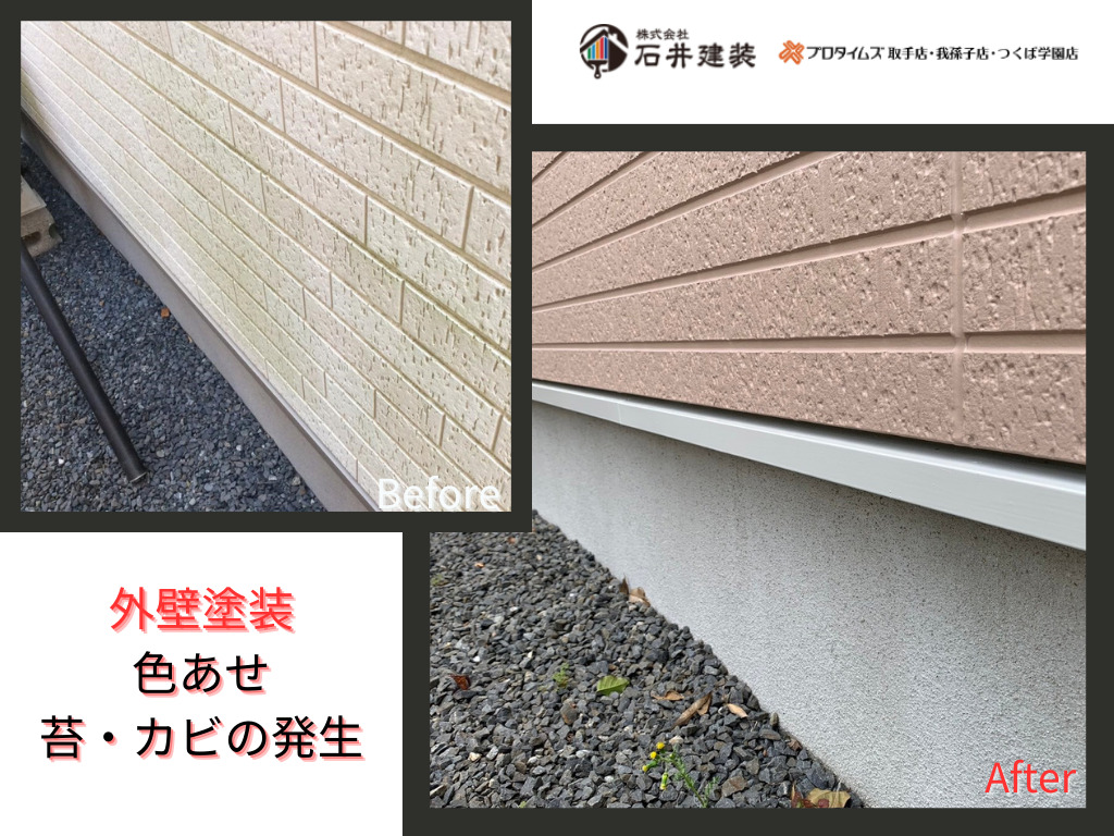 牛久市南N様邸ビフォーアフター画像：外壁の苔