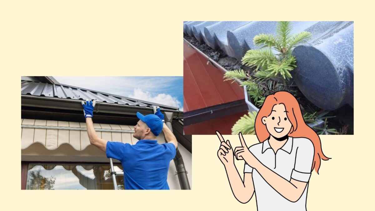 自宅でできる！雨樋メンテナンスのポイント