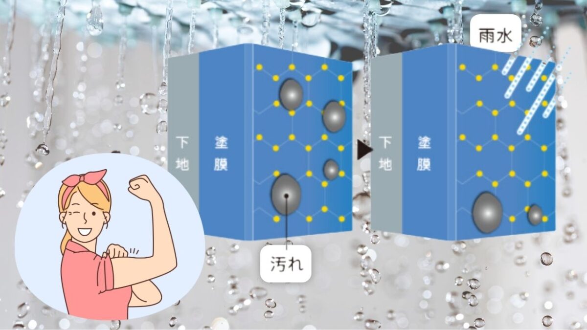 雨を味方につける超低汚染性