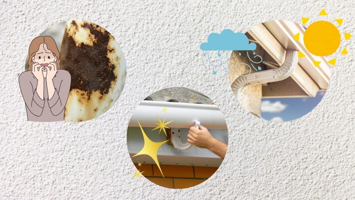 雨樋塗装の重要性