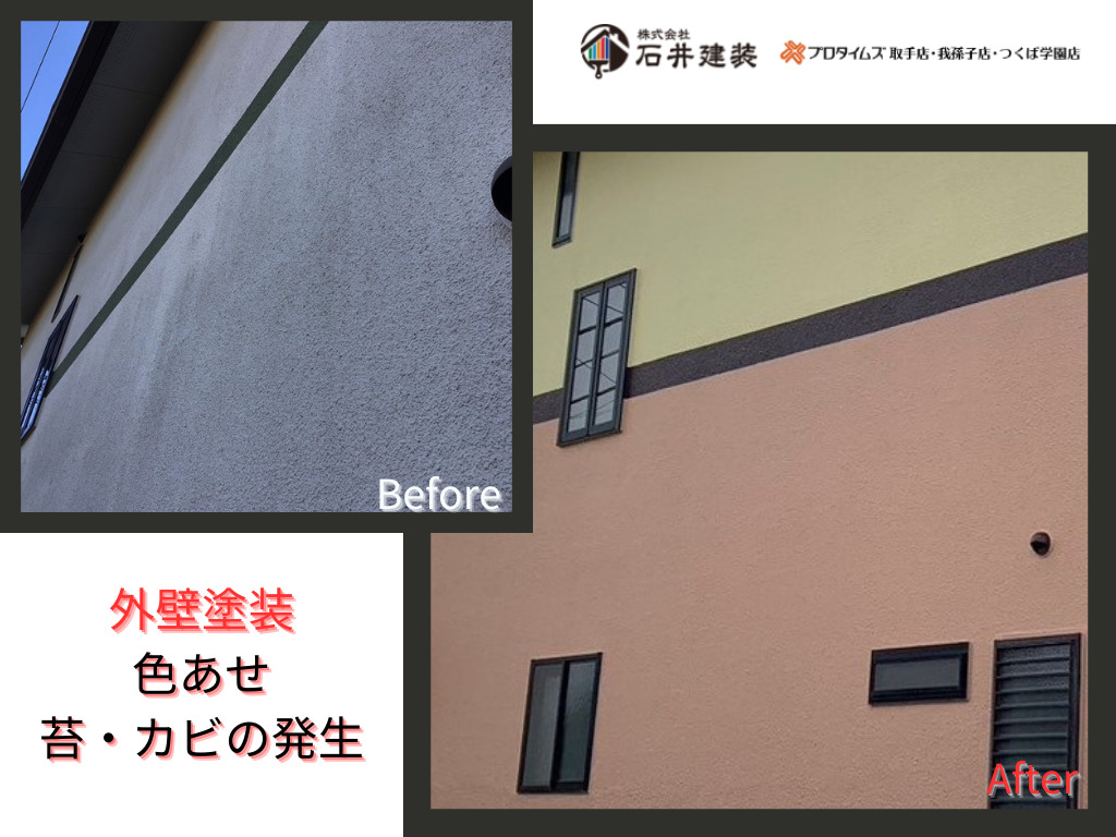 取手市吉田K様邸ビフォーアフター画像：外壁の苔