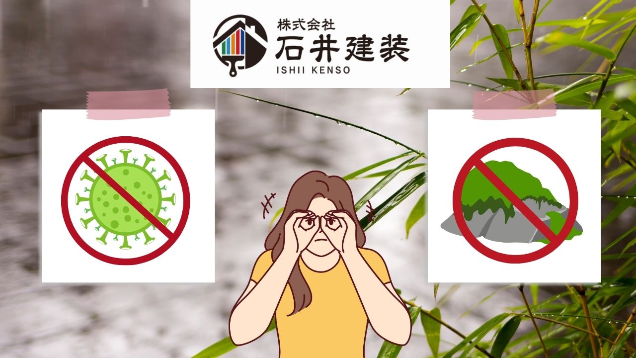 外壁に発生する【コケ・カビ】の予防法が知りたい|湿気が多い時期のトラブル解消方法