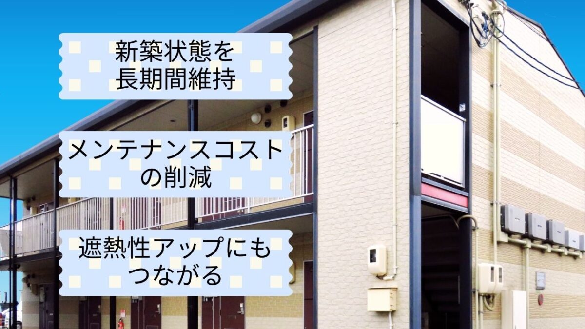 【美壁】の魅力