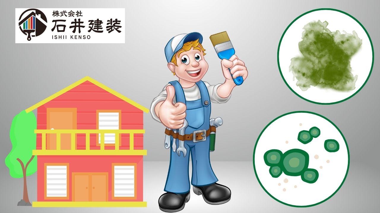 【我孫子市】外壁の苔・カビに要注意！プロが教える塗装でできる徹底対策法