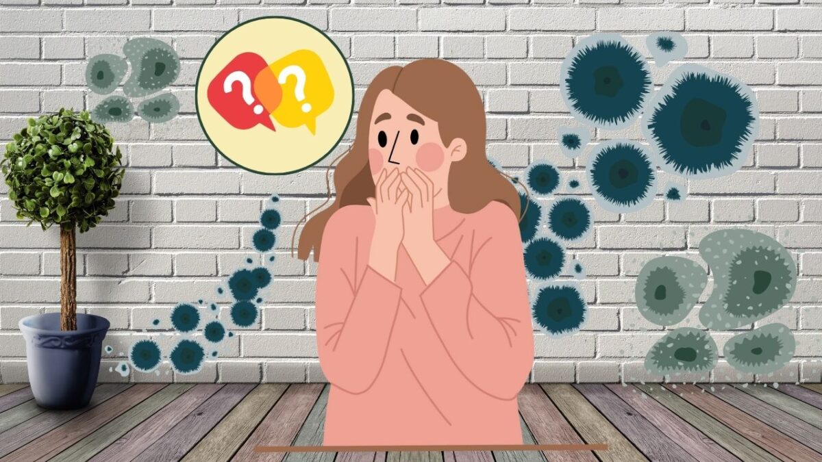 外壁にカビが発生する原因
