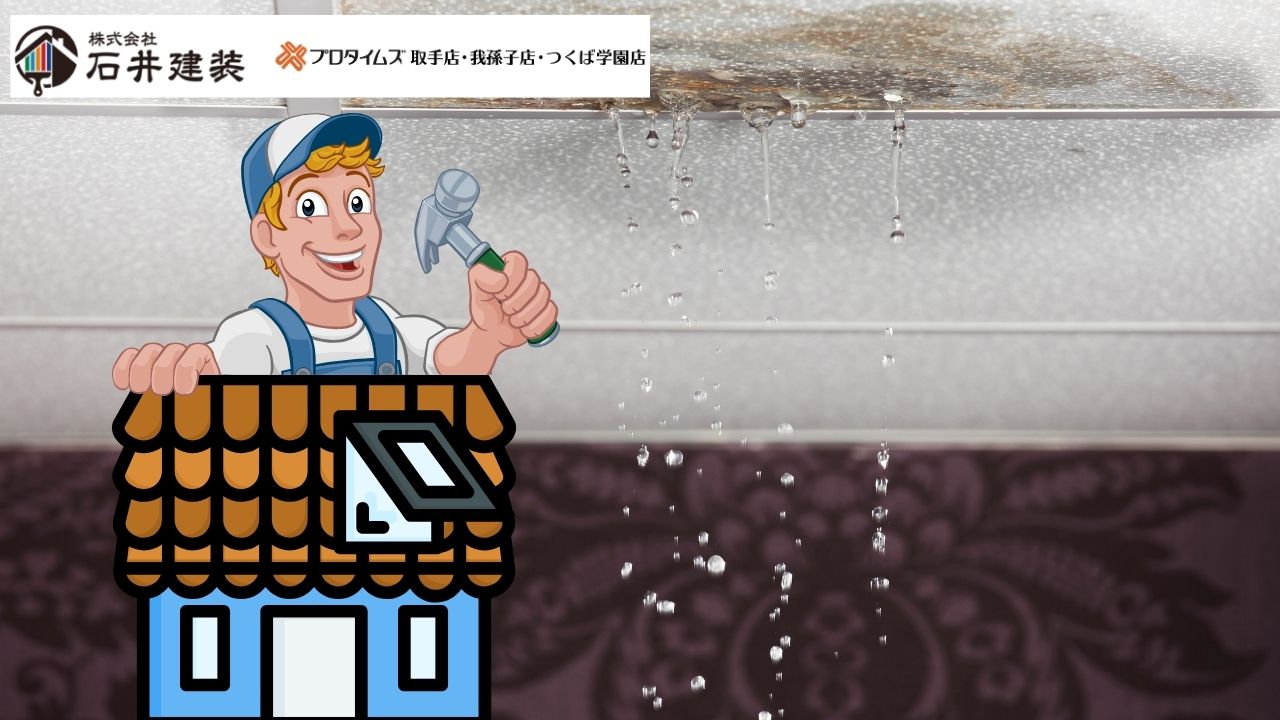 【つくば市の天窓修理】雨漏り対策どうする?DIYはできるか徹底解説!