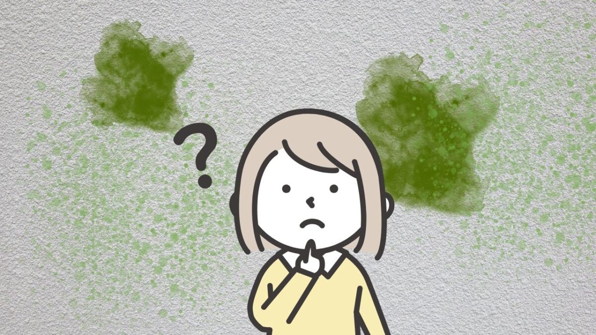 外壁に苔が発生する原因